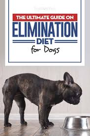 Dog Elimination Diet A Science Based Guide Elimination Diet Pet Diet Diet