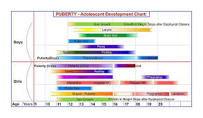 File Pubertal Human Development Chart Jpg Wikimedia Commons