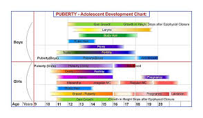 file pubertal human development chart jpg wikimedia commons