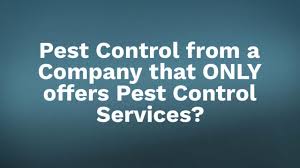 Since 1970, allied pest control & exterminating has been the pest management professionals serving brunswick, columbus, new hanover, and horry counties. Termite And Pest Control Services In Spring The Woodlands Tx