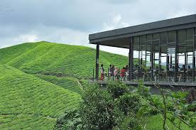 Malaysia travel tips provides you useful information to plan your visit to malaysia, with information on every state in the country. Hd Wallpaper Malaysia Cameron Highlands Cloud Sky Green Color Plant Wallpaper Flare