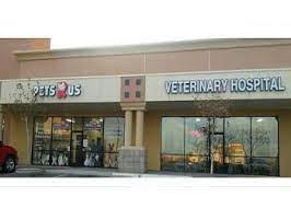 We did not find results for: 3 Best Veterinary Clinics In Palmdale Ca Expert Recommendations