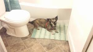 Rub a dub dogs in a tub schnauzers dog puzzle with photo tin puzl95476. Best 15 Local Handyman Services In Milwaukee Wi Houzz