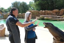 Zoo Nique Christmas Gifts And Festive Fun At Blackpool Zoo Icg Pr