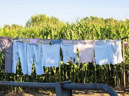 The method for using the washing line posts is straightforward. 2021 Favourites Of The Best Washing Line Rope Best Products Review
