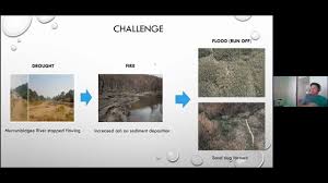 Michael Harrison, Flood Response, 16 February 2022