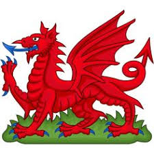 And while chad and romania are nearly indistinguishable, some flags have incredibly beautiful and unique designs. Exterior Accessories Flag Of Wales Welsh Red Dragon Cool License Plate Decorative Front Plate 6 X 12 Inch Automotive 5aday Com Ng
