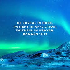 Look At The Birds Of The Air Esv Romans 12 12 In 2020 Esv Bible Romans 12 Daily Bible Verse