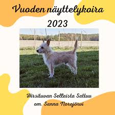 Savo-Karjalan Vinttikoiraharrastajat ry