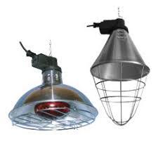 The crazygadget® large paraffin greenhouse heater is a paraffin heater with a large capacity best greenhouse heaters. Infrared Heat Lamps Bulb For Chickens Pig Sheep Cat And Dogs Little Fields Farm