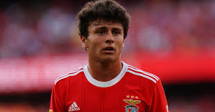 João Neves: onde nasceu o jovem jogador da seleção portuguesa? —  idealista/news