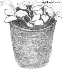 Luas daerah yang diarsir pada gambar di atas merupakan dua kalinya dari luas daerah arsiran pada gambar sebelumnya. Cara Menggambar Klorofitum Dalam Pot Dengan Pensil Secara Bertahap Kami Menggambar Bunga Kamar Dalam Pot Menggunakan Photoshop