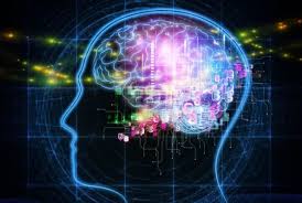 Sekolah mana yang ingin anda ketahui? Pelajar Sd Di Sukabumi Dikenalkan Teknologi Robotik Republika Online