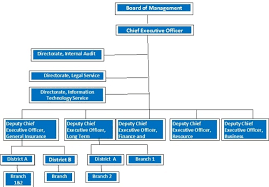 Insurance Company Structure Chart Bedowntowndaytona Com