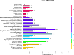 How To Generate Kegg Pathway Classification Chart