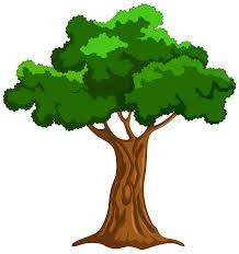 Cartoon Tree PNG Clip Art - Best WEB Clipart