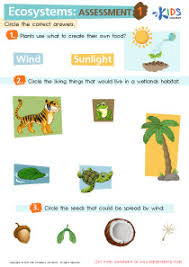 Click on the name of a skill to practice that skill. Planet Earth Worksheets For 2nd Grade Air And Water In The Environment Grade 2 Worksheets