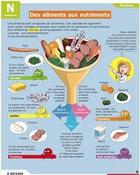 0cb19b7a9a26e8ee58ec772439ed7ae6 Jpg 564 700 Nutrition Education Nutrition Recipes Holistic Nutrition