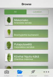 Discover & diners payment methods do not apply on the app. Flora Finder About Botany Department Of Botany University Of Otago New Zealand