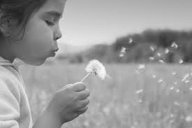 Oregon State Hospital, Family Guidebook