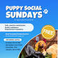 Puppy Social Sunday | FREE! event image