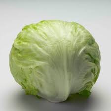 Image result for lettuce veg