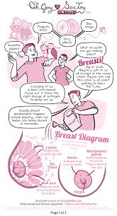 Bee Pollen for Breasts - Arouse Your Senses