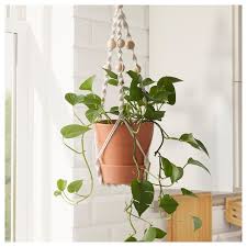 Anvandbar Blumenampel Fur Topf Hangend Naturfarben Ikea Deutschland Hanging Plant Holder Hanging Plants Wall Plant Holder