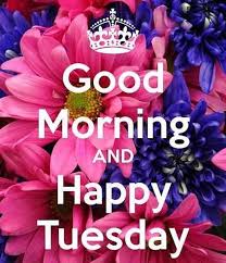 Maybe you would like to learn more about one of these? Tuesday Morning Quotes For Work Happy Tuesday Quotes Funny Tuesday Morning Images And Sayings Dogtrainingobedienceschool Com