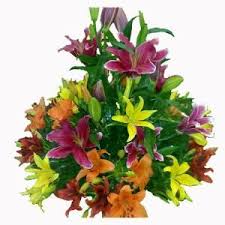 Free delivery in 4 hours · premium imported flower. Getting Closer To Your Loved Ones By Sending Flowers In Bangalore Flower Delivery Order Flowers Flowers Online