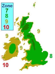 Zone 6 Planting Schedule Grow Food Easily