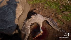 Wild on meats are a one stop shop for ordering and purchasing wild exotic meats that are delivered to your door. Get Seasoned Exotic Bird Meat Pelican Location In Red Dead Online Shacknews