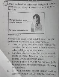 Jenis larutan yang dapat menghantarkan arus listrik, misalnya amonia, larutan cuka, larutan hci, air laut, air kapur dan lain. 1 Anggi Melakukan Percobaan Mengenai Sistem Pernapasan Dengan Skema Seperti Gambar Berikut Brainly Co Id