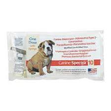 Single Dose Dog Vaccines Pet Supplies Online