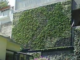 Como Hacer Un Muro Verde Ideas Tips Asesoria Y Construccion Jardines Verticales Muros Verdes Jardines