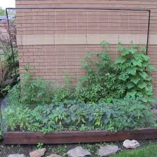 Check spelling or type a new query. Raised Bed Garden Trellis Steel Frame Urban Seedling