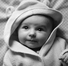 The New York Society for the Prevention of Cruelty to Children