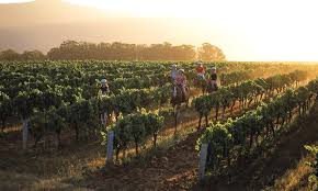 Perfect your swing at a round of golf. Horse Riding Hunter Valley Resort