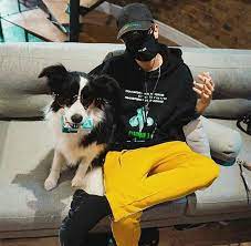 Add a bio, trivia, and more. Dog Hund Piesek Kamerzysty Kamerzysta Kruszwil Dog Pies Instagram Winter Jackets Riding Helmets