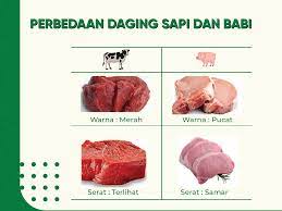 Namun perbedaan ini tak dapat dijadikan pegangan, karena warna pada daging babi oplosan kita juga bisa membedakan daging sapi dan babi berdasarkan seratnya. Kenali Beda Daging Sapi Dan Babi Kantor Berita Mina