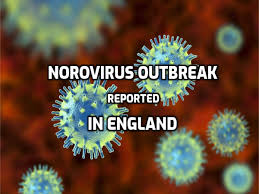 Norovirus is one virus in a group of viruses that cause gastroenteritis, an illness that usually causes diarrhea and / or . Norovirus Outbreak In England Know All About The Highly Infectious Virus Thehealthsite Com