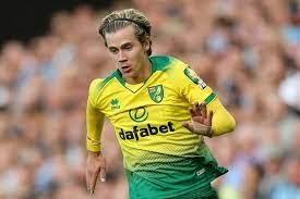 Norwich finished 20th having won. Gw6 Ones To Watch Todd Cantwell