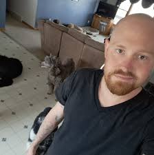 What are some humorous enclosure setups for reptiles?