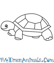 How To Draw A Simple Turtle For Kids