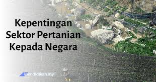 Selain itu, sektor pertanian merupakan bekalan bahan mentah yang amat penting kepada sektor ekonomi sekunder dalam pemprosesan makanan. Kepentingan Sektor Pertanian Kepada Negara