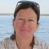 PDF) A Task Analysis Primer for Web Design