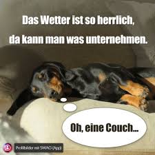 Bilder Fur Whatsapp Kostenlos Downloaden Whatsapp Status Bilder Lustige Profilbilder Whatsapp Status Bilder Lustig Lustige Bilder Beobachten sie gerne den status ihrer familie und freunde.