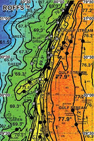 Fish Forecasting