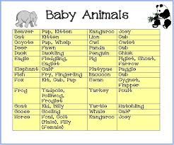 Free Baby Shower Game Baby Animal Games Free Baby Shower Games Baby Shower Games