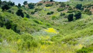 Nature is my “church”